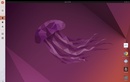 Ubuntu Linux Station (3)