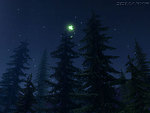 Firefly Forest - screenshot 6