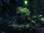 Firefly Forest - screenshot 5
