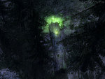 Firefly Forest - screenshot 4