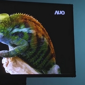 AOC ukazuje prototyp tištěného 32" OLED panelu. Zamíří do monitorů