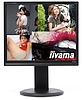 AT Computers uvádí na náš trh 4 nové monitory iiyama
