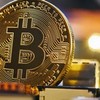 CEO FTX: Bitcoin nemá v dnešní podobě budoucnost coby platidlo, jde o investici