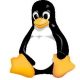 CEO PalmSource vidí budoucnost v Linuxu