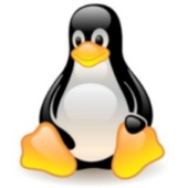 Linux slaví výročí – jak si vede?