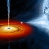 Polarizace rentgenového záření odhalila geometrii černé díry