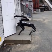 Policie v Massachusetts tajně testovala robotické psy od Boston Dynamics