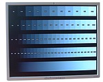 LCD monitor HP L1955 - Test kontrastu (2)