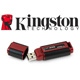Kingston DataTraveler 310: 256 GB v dlani