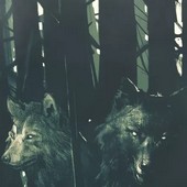 Veteráni z CD Projekt Red si založili studio Rebel Wolves