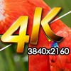 ViewSonic VX2880ml: Ultra HD na 28 palcích