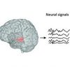 Výzkumníci pomocí AI převedli skeny mozku na řeč
